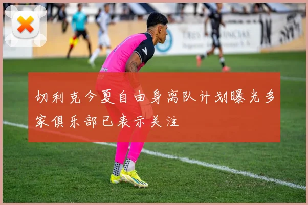 切利克今夏自由身离队计划曝光多家俱乐部已表示关注